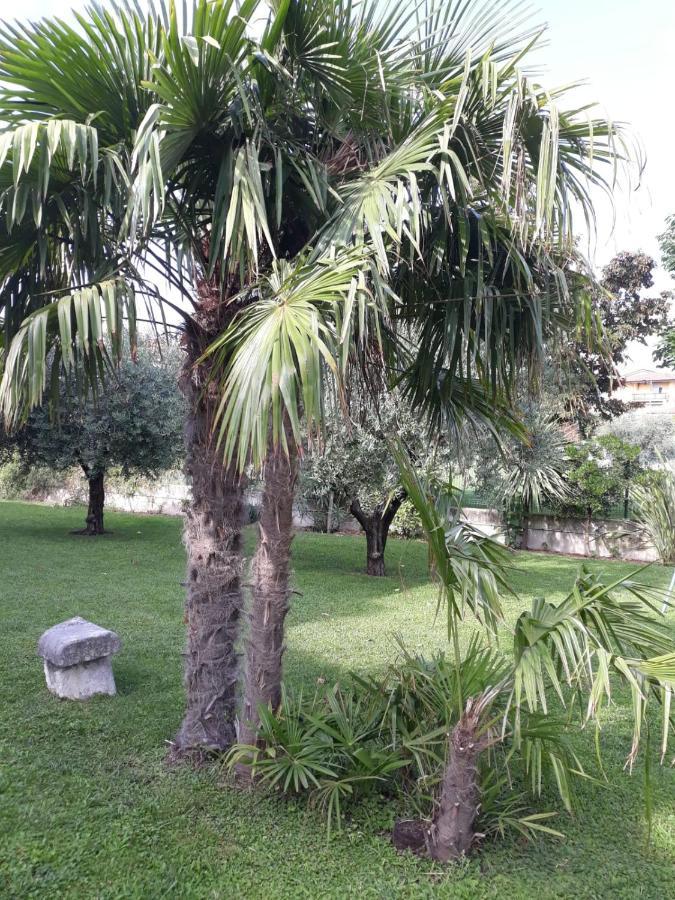 Appartamento Greta Cavaion Veronese Exterior photo